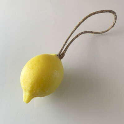 reptval-citron